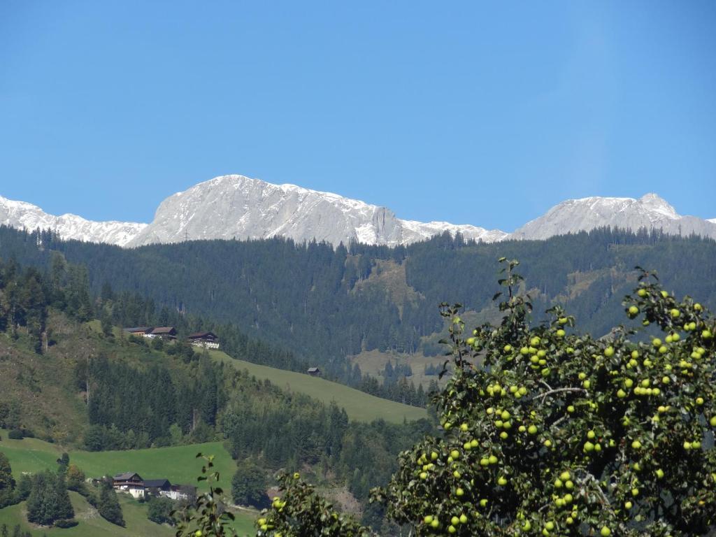 Pension Appartements Reithof Sankt Johann im Pongau Szoba fotó